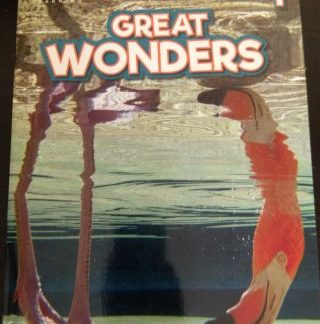 GREAT WONDERS 1 COMPANION (+ AUDIO CD)