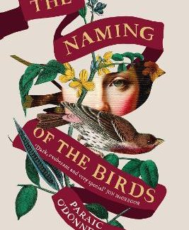 THE NAMING OF THE BIRDS PB