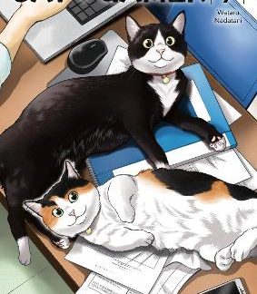 CAT + GAMER VOLUME 7