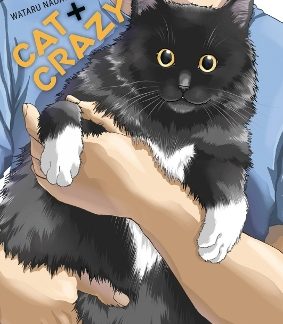 CAT + CRAZY VOLUME 3