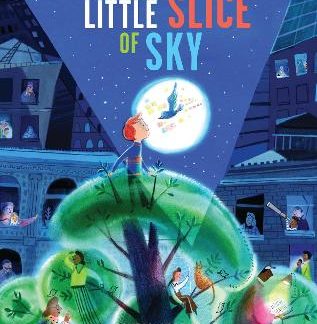 A LITTLE SLICE OF SKY PB