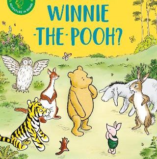 WHAT SHALL WE DO, WINNIE-THE-POOH? PB