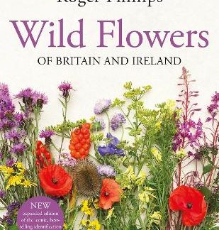 WILD FLOWERS