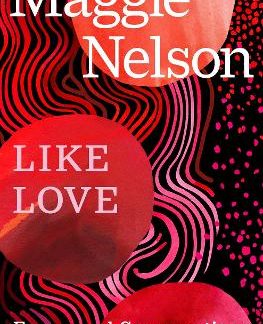 LIKE LOVE : ESSAYS AND CONVERSATIONS PB