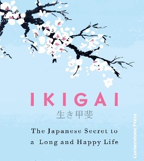 IKIGAI : THE JAPANESE SECRET TO A LONG AND HAPPY LIFE HC