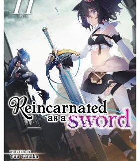 REINCARNATED SWORD VOL 11 LIGHT