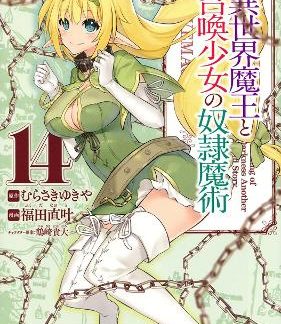 HOW NOT SUMMON VOL 14 MANGA