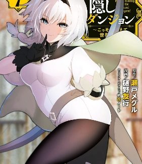 HIDDEN DUNGEON VOL. 7 LIGHT