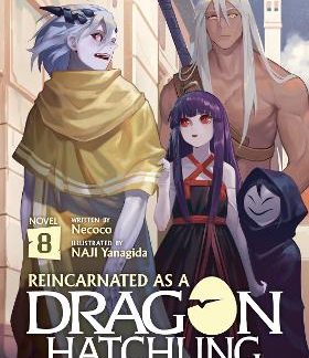REINCARNATED DRAGON VOL 8 LIGHT