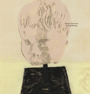 MAMMA ANDERSSON: A STORM WARNING HC