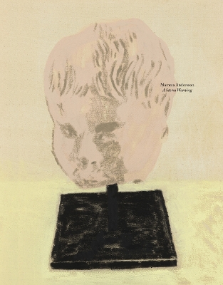 MAMMA ANDERSSON: A STORM WARNING HC