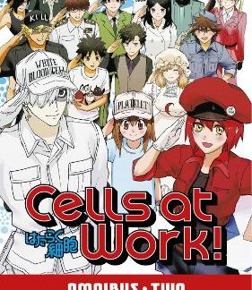 CELLS AT WORK OMNIBUS VOL 02 (COLL 4-6) (C: 0-1-2)