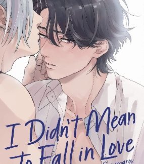 I DIDN T MEAN TO FALL IN LOVE