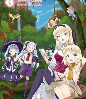 IN ANOTHER WORLD WITH MY SMARTPHONE: VOLUME 30 (LIGHT NOVEL)