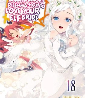 AN ARCHDEMON'S DILEMMA: HOW TO LOVE YOUR ELF BRIDE: VOLUME 18 (LIGHT NOVEL)