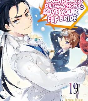 AN ARCHDEMON'S DILEMMA: HOW TO LOVE YOUR ELF BRIDE: VOLUME 19 (LIGHT NOVEL)