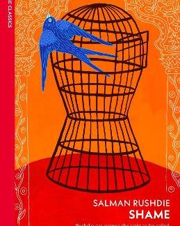 VINTAGE CLASSICS : SHAME PB