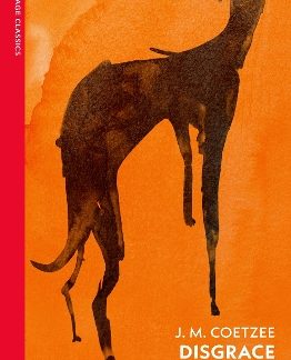 VINTAGE CLASSICS : DISGRACE PB