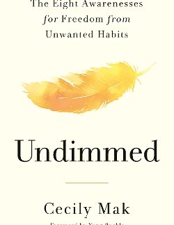 UNDIMMED : THE EIGHT AWARENESSES FOR FREEDOM FROM UNWANTED HABITS PB