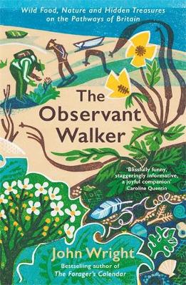 THE OBSERVANT WALKER : WILD FOOD, NATURE AND HIDDEN TREASURES ON THE PATHWAYS OF BRITAIN PB