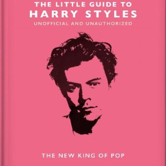 THE LITTLE GUIDE TO HARRY STYLES