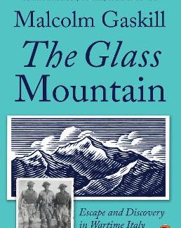 PENGUIN ORANGE SPINES : THE GLASS MOUNTAIN PB