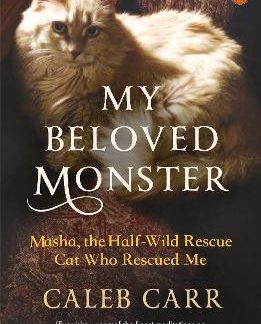 PENGUIN ORANGE SPINES : MY BELOVED MONSTER PB