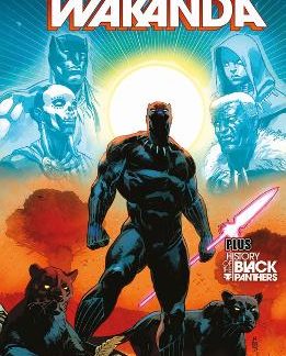 MARVEL SELECT - WAKANDA PB