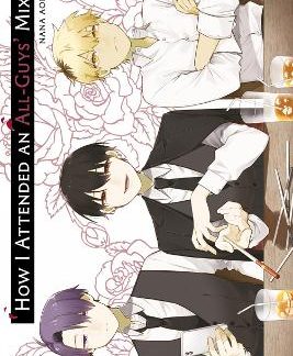 HOW I ATTENDED AN ALL-GUYS' MIXER VOLUME 1 PB
