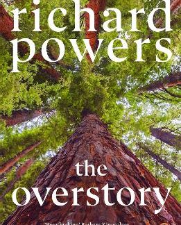 THE OVERSTORY PB