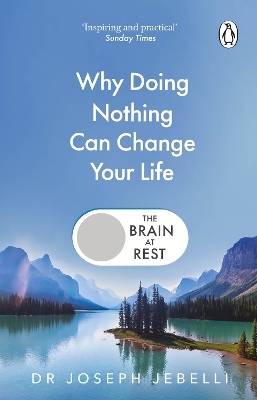 THE BRAIN AT REST : WHY DOING NOTHING CAN CHANGE YOUR LIFE PB