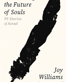 CONCERNING THE FUTURE OF SOULS TPB
