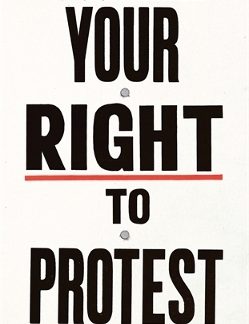 YOUR RIGHT TO PROTEST TPB
