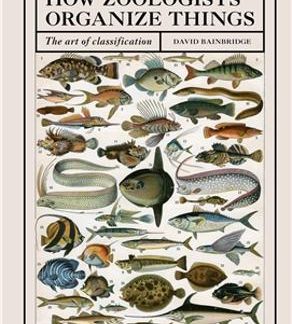 HOW ZOOLOGISTS ORGANIZE THINGS : THE ART OF CLASSIFICATION PB