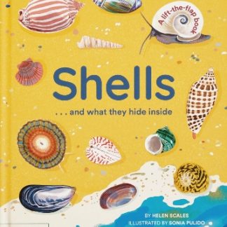 SHELLS... AND WHAT THEY HIDE INSIDE HC BBK