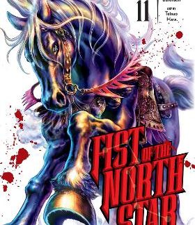 FIST OF THE NORTH STAR 11 HA