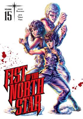 FIST OF THE NORTH STAR 15 HA