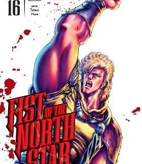 FIST OF THE NORTH STAR 16 HA