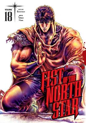 FIST OF THE NORTH STAR 18 HA