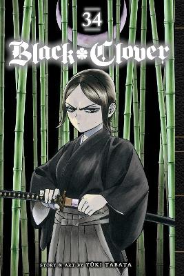 BLACK CLOVER, VOL. 34 PA