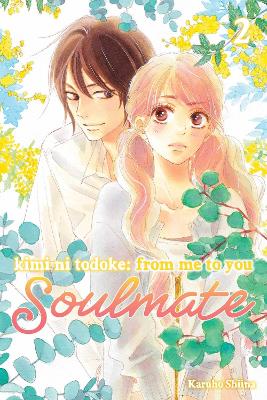 KIMI NI TODOKE: SOULMATE V2 PA