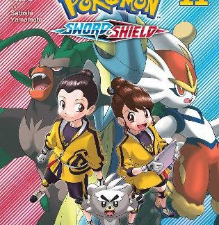 POKEMON SWORD & SHIELD V11 PA