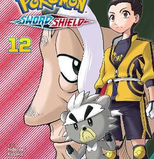 POKEMON SWORD & SHIELD V12 PA
