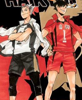 HAIKYU!! 3-IN-1 EDITION 04 PA