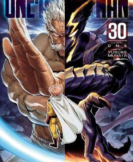 ONE-PUNCH MAN, VOL. 30 PA