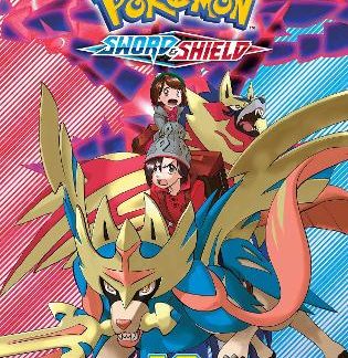 POKEMON: SWORD & SHIELD V13 PA