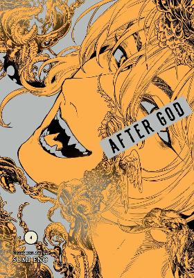 AFTER GOD VOL. 4 PA