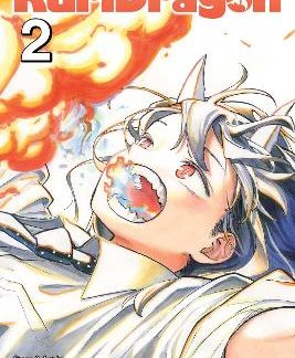RURIDRAGON, VOL. 2 PA