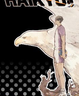 HAIKYU!! 3-IN-1 EDITION 07 PA