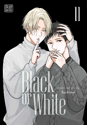 BLACK OR WHITE, VOL. 11 PA